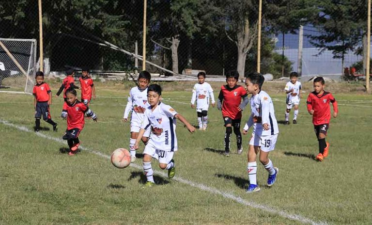 CAMPEONES SOCCER CUP - NOTICIAS 2